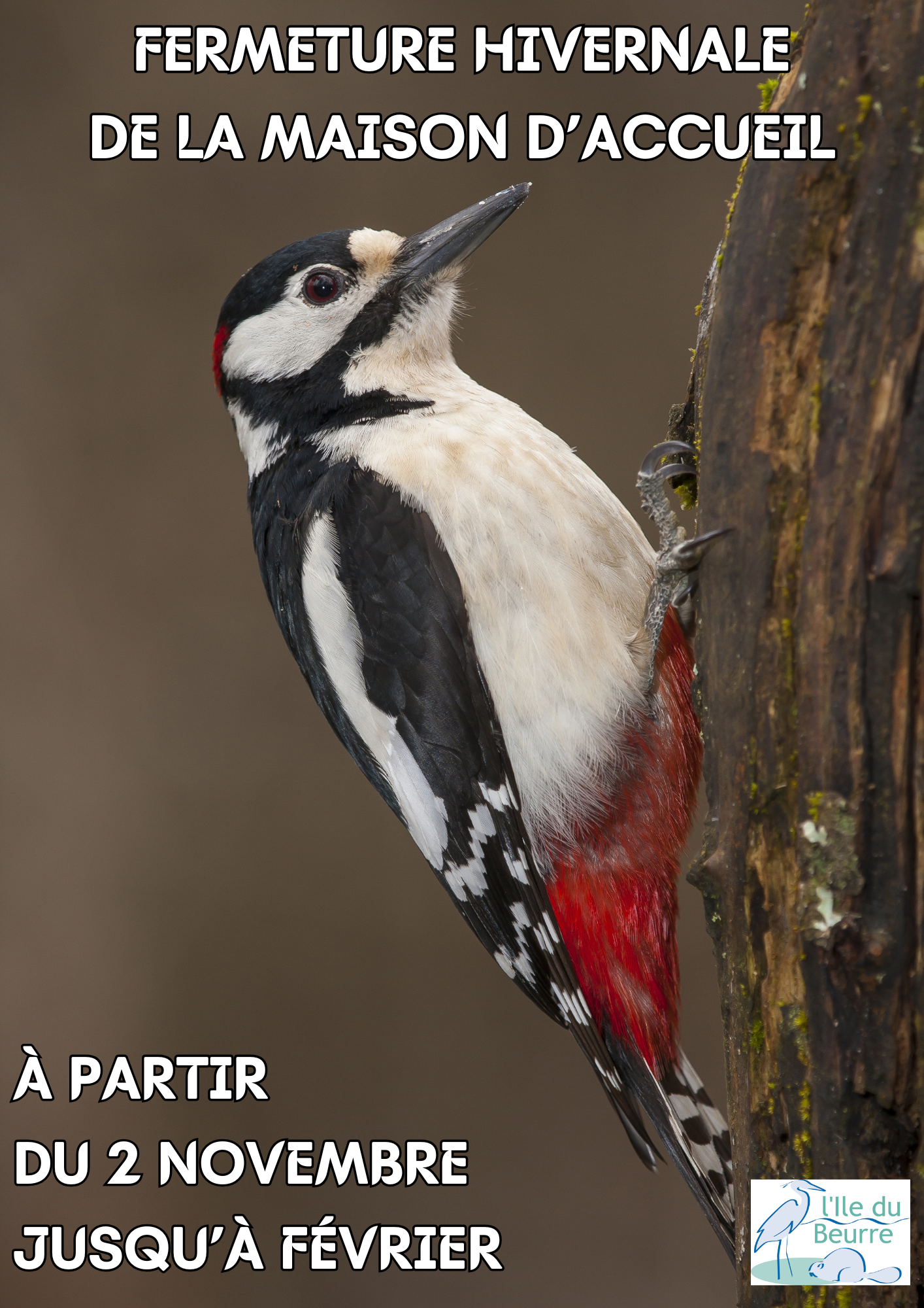 La Maison d’Accueil fait peau neuve !